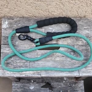 Dog Leash Green